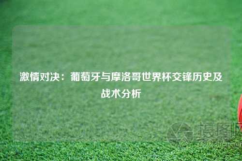 激情对决：葡萄牙与摩洛哥世界杯交锋历史及战术分析