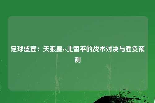足球盛宴：天狼星vs北雪平的战术对决与胜负预测