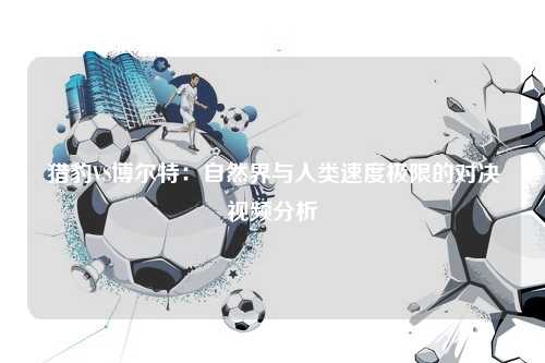 猎豹VS博尔特：自然界与人类速度极限的对决视频分析