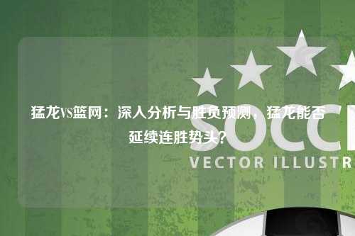 猛龙VS篮网：深入分析与胜负预测，猛龙能否延续连胜势头？