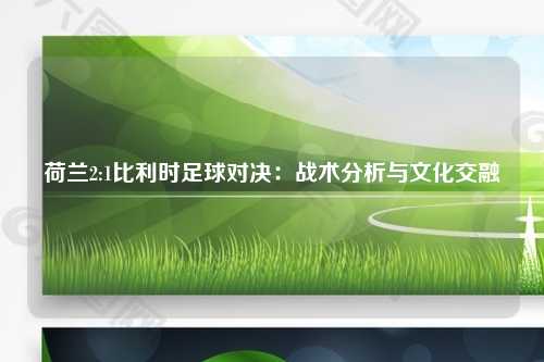 荷兰2:1比利时足球对决：战术分析与文化交融