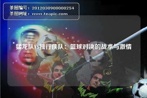 猛龙队VS独行侠队：篮球对决的战术与激情